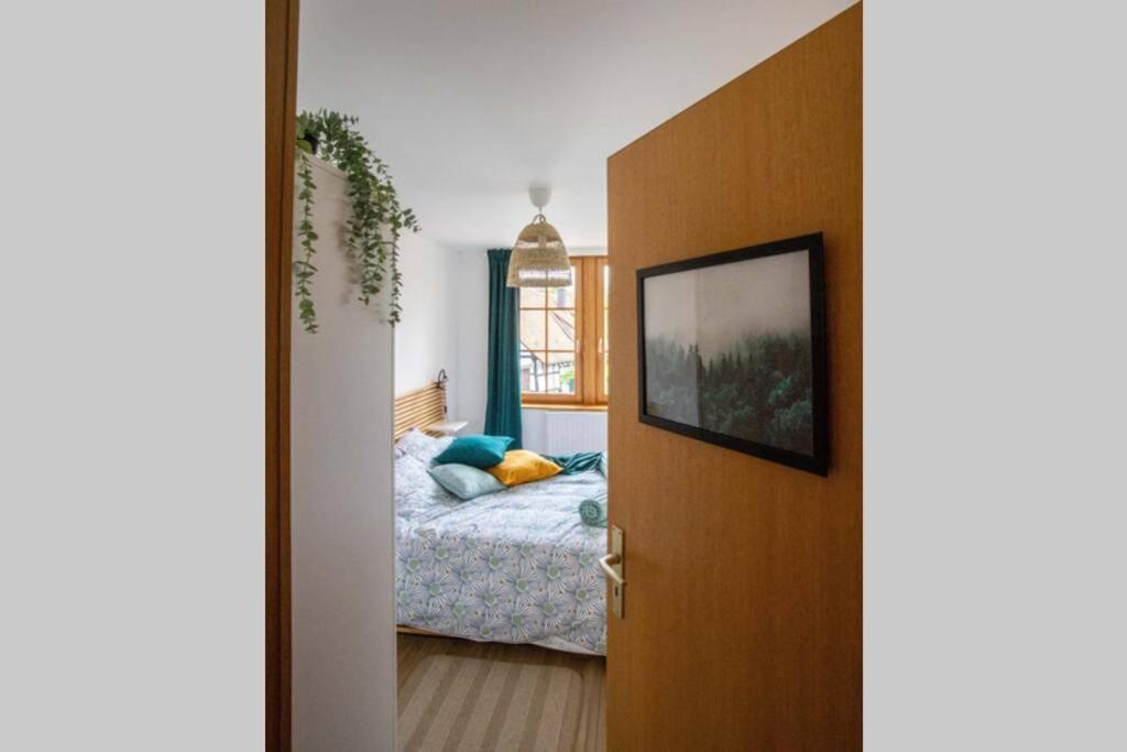 Charming Apartment Basel Border - 3 Bedrooms Hegenheim 外观 照片